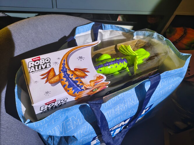 IMG_20251212_154853422_HDR