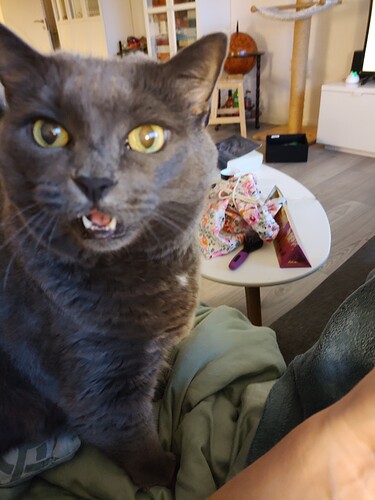 IMG_20231111_075951832