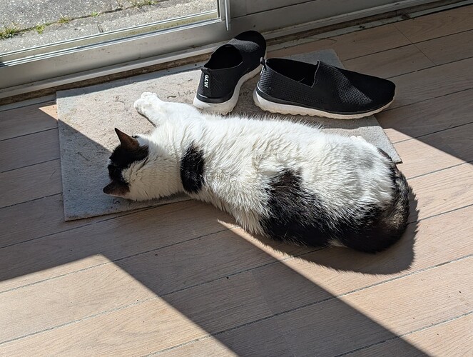 PXL_20250517_140359438.MP