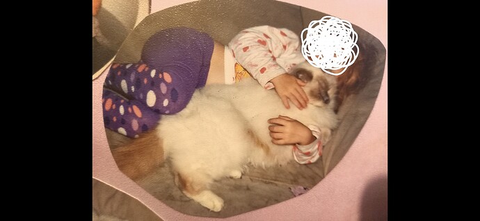 Screenshot_20260211_073629_Gallery