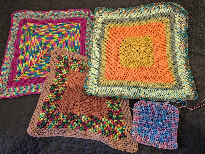 PXL_20241203_125310628