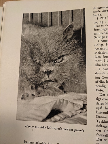 PXL_20210209_172208763