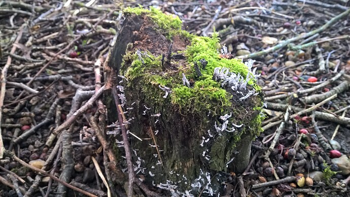 WP_20220131_13_29_57_Pro