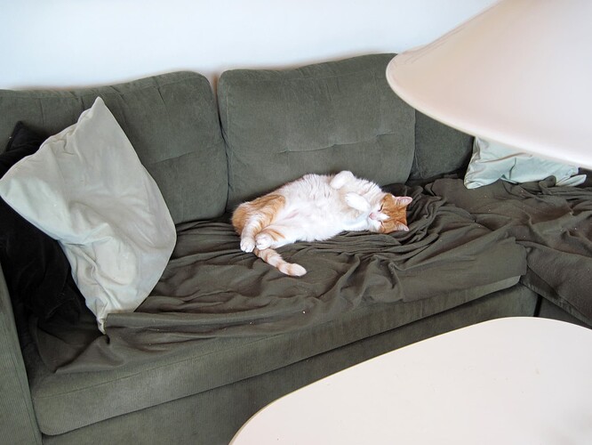 Kalles sofa