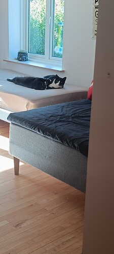 IMG20240515171849