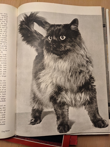 PXL_20210209_171912624