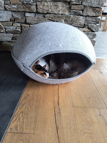 IMG_20250423_145439010