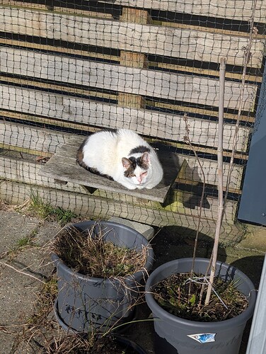 PXL_20260304_123056682.MP