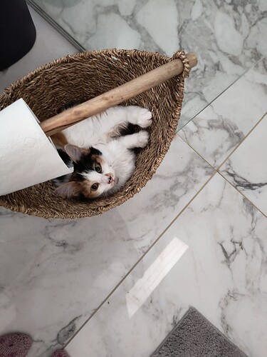 IMG_20250424_085348707