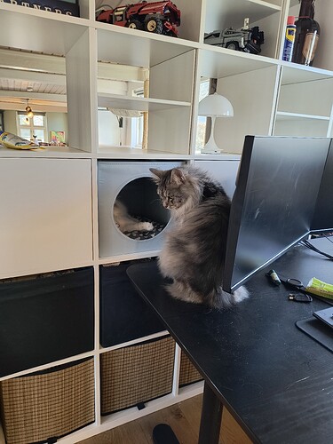 IMG_20260409_082608921_HDR