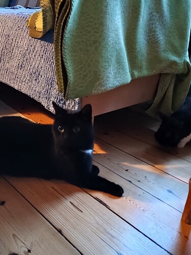 IMG_20251109_081952913