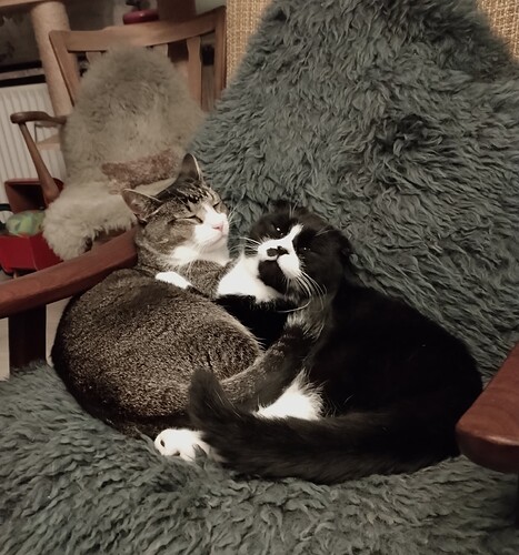 IMG_20251005_230104_edit_914497275965207