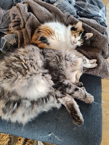 IMG_20260220_124011590_HDR