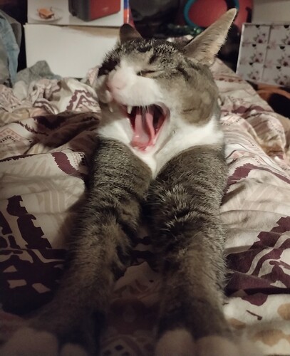 IMG_20250516_013039_edit_1464848493334794