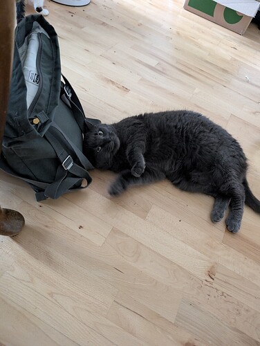 PXL_20250902_072432675.MP