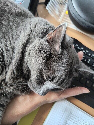 IMG_20250829_104800250_HDR