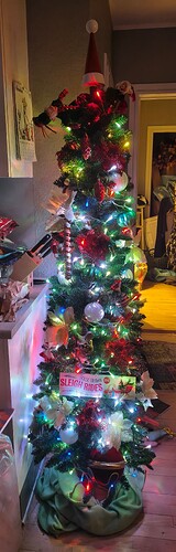 IMG_20251205_185742705_HDR~2