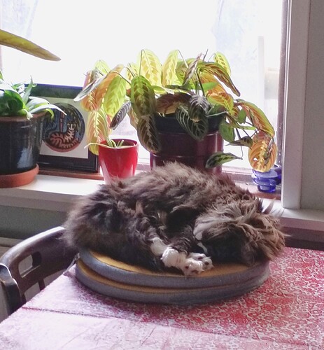 IMG_20260410_163215_edit_344106934279460