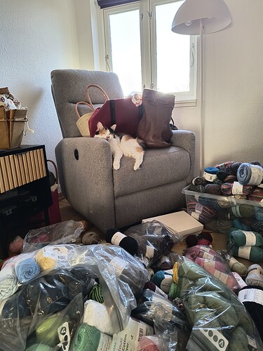 IMG_20251230_113216459_HDR