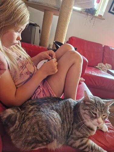 16943595605942202754320557487921