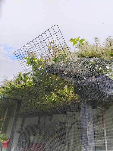 IMG_20250930_135731_edit_756860735893101