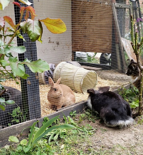 IMG_20240510_160800_edit_430267726621072