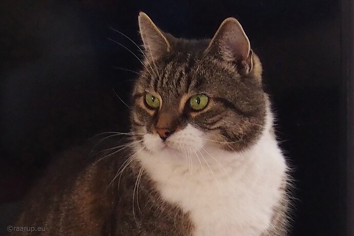P8090009e