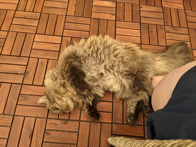 PXL_20210731_090349177