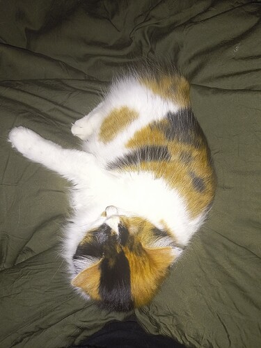 IMG_20260201_065249103