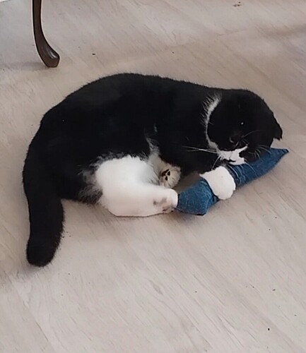 Screenshot_20251009_091122_edit_1031132979719099