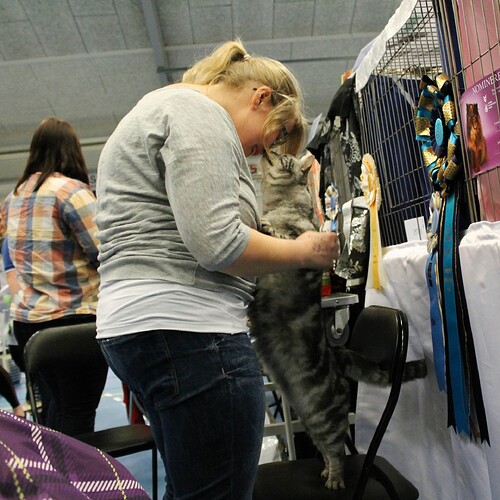 McCoy og jeg dutter næse i Hedensted d. 30.3.2014