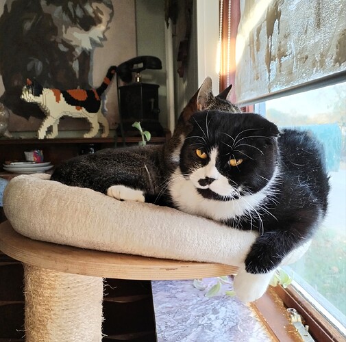 IMG_20251123_142617_edit_2312848766564691