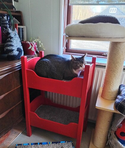 IMG_20260409_171410_edit_296968567324370