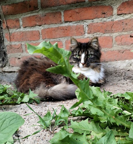 IMG_20250826_170342_edit_1209207231728254