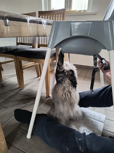 IMG_20260308_094812297_HDR