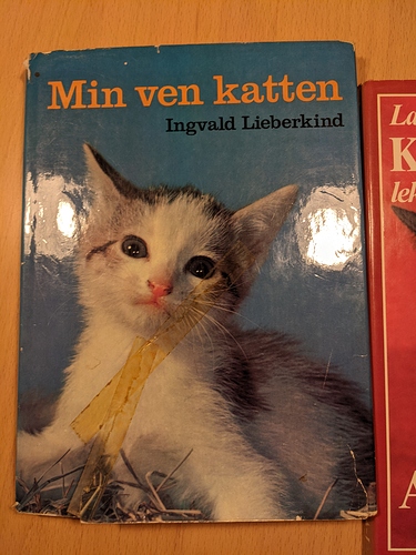 PXL_20210209_171424223