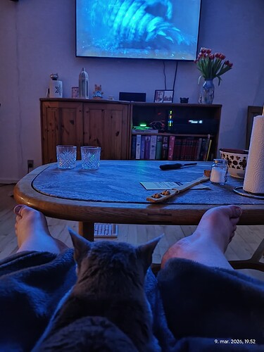 IMG_20260309_195208521