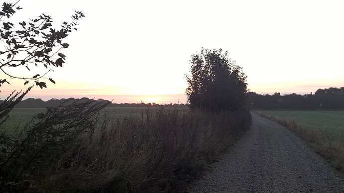 WP_20210922_07_17_49_Pro