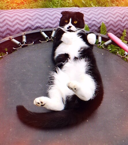 Screenshot_20250726_170550_edit_80999232301444