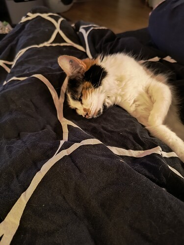 IMG_20251123_202049061