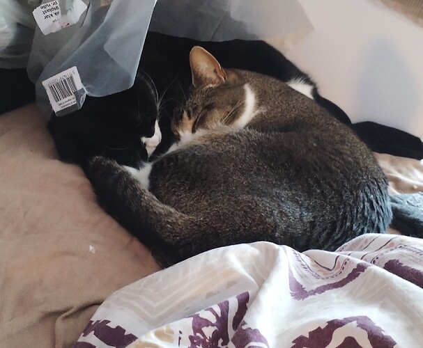 IMG_20250428_075628_edit_997015525122999