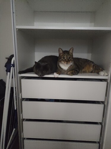 IMG_20210530_083921753_MP