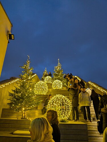 PXL_20251210_152411403.MP