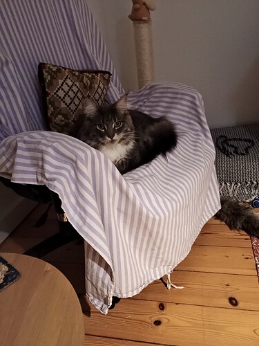 IMG_20241217_181719934