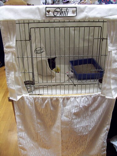 Chili på udstilling 3