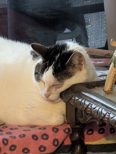 PXL_20241223_094908397