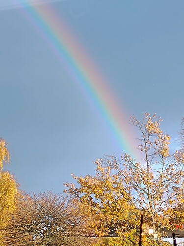 IMG_20251027_152818638_AE