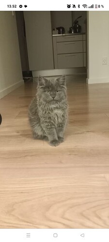 Screenshot_2025-09-16-13-52-42-83_40deb401b9ffe8e1df2f1cc5ba480b12