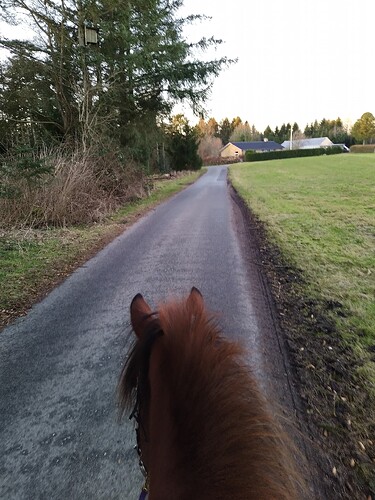 IMG_20250206_165057_1