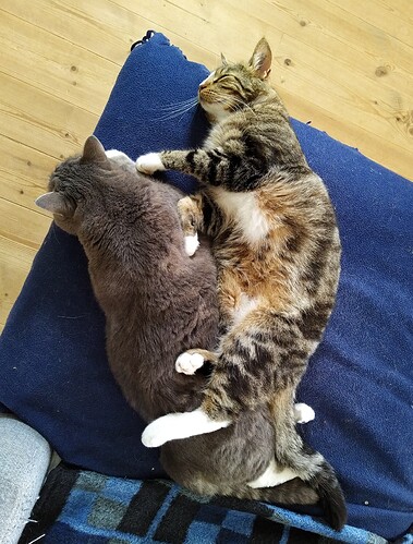 IMG_20210731_181836~2